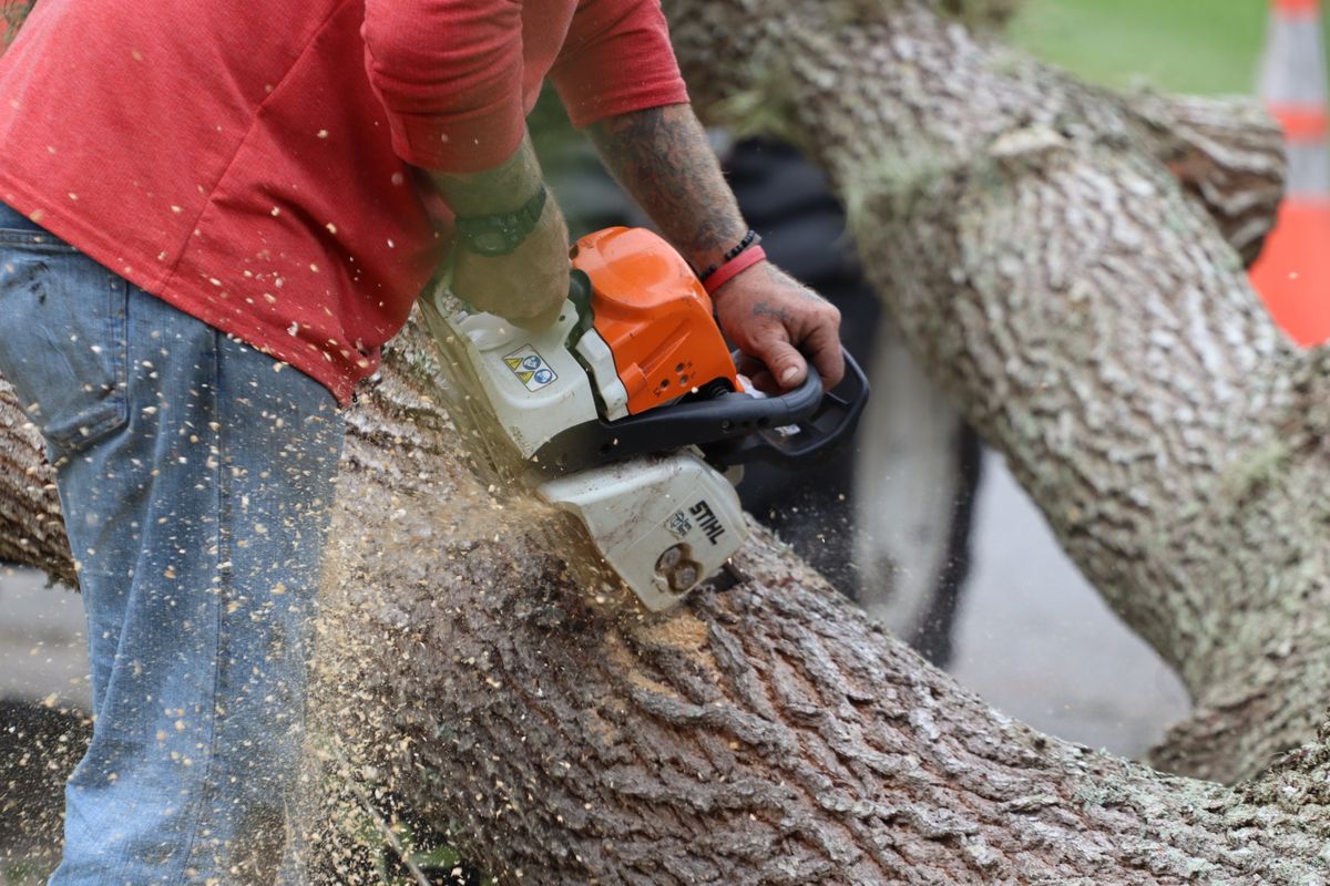 Tree removal service in Greenwood, SC